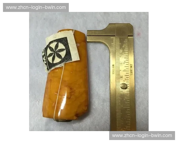 中欧之巅的红白博弈:当波兰雄鹰遇见瑞士军刀的精密艺术